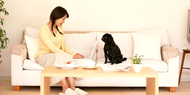 外でもWEBが見れるようになるルーター